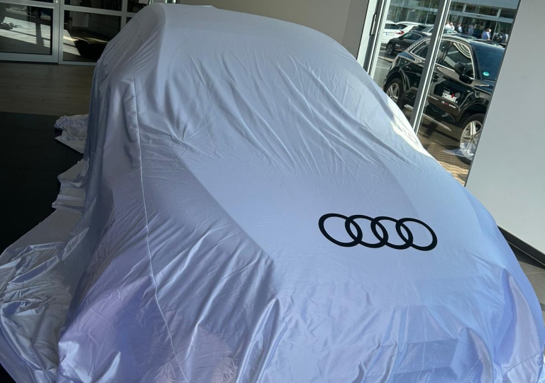 audi_sheet